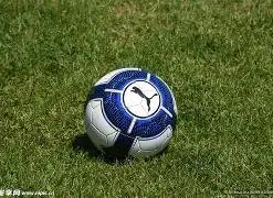 今日金华金,至尊金价行,半岛体育,半岛体育平台,半岛体育官方网站,半岛体育登录入口,半岛体育app下载