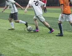 竞技体育人,才培养,普及与提升,半岛体育平台,半岛体育官方网站,半岛体育登录入口,半岛体育app下载