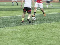 体育系统深,入学习贯彻,二十届三中,半岛体育平台,半岛体育官方网站,半岛体育登录入口,半岛体育app下载