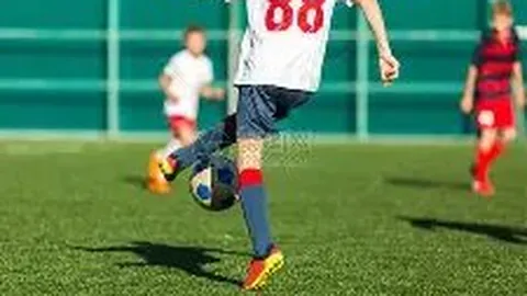 半岛体育 资讯 090415 yy5