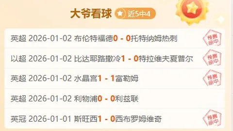 约旦国家队对阵马尔代夫，阿拉里裁判执裁比赛