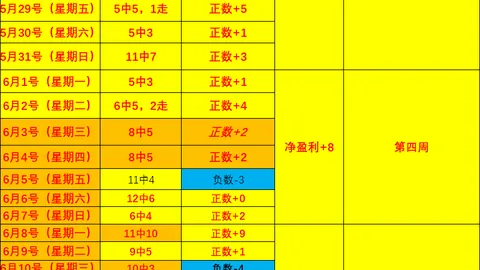 2026越南篮球精华盘点：5战4胜，海豚队喜提佳绩终极指南